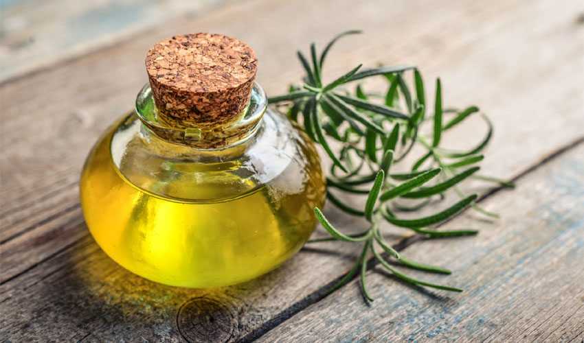 Best Rosemary Oil for Hair Growth in India