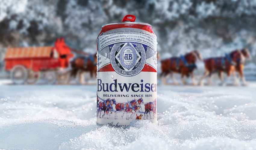 Budweiser Beer Price in Delhi