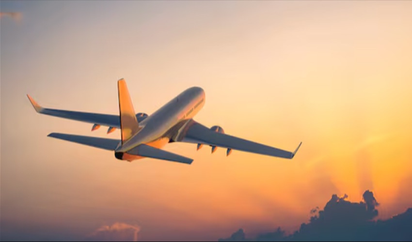 Why Were 100 Flights Cancelled at Delhi Airport