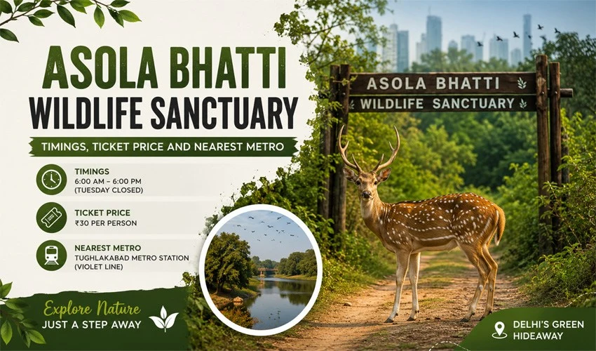 Asola Bhatti Wildlife Sanctuary
